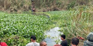 Migrantes se lanzan al río Bravo para llegar a EE.UU.
