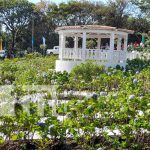 Foto: Gratuito, colorido y fresco: Alcaldía de El Crucero inaugura el "Parque de Las Mil Flores" / TN8