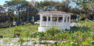 Foto: Gratuito, colorido y fresco: Alcaldía de El Crucero inaugura el "Parque de Las Mil Flores" / TN8