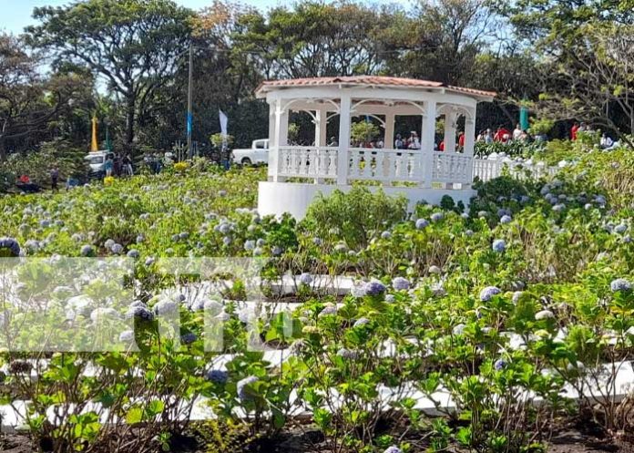 Foto: Gratuito, colorido y fresco: Alcaldía de El Crucero inaugura el