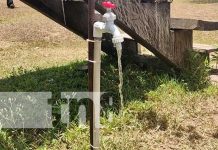 Comunidad Indígena recibe agua potable hasta sus hogares en Bilwi