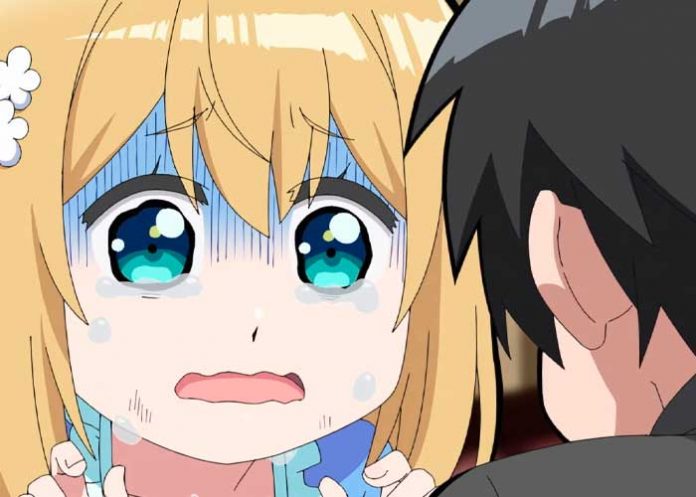 Conocé lo último de 