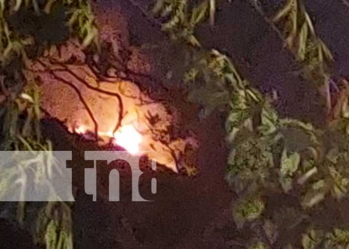 1 Fuerte incendio en las laderas del Volcán Mombacho, en Diriomo