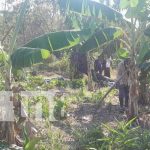 Encuentran muerto a vigilante de finca en Yulutingni, Costa Caribe Norte Encuentran muerto a vigilante de finca en Yulutingni, Costa Caribe Norte
