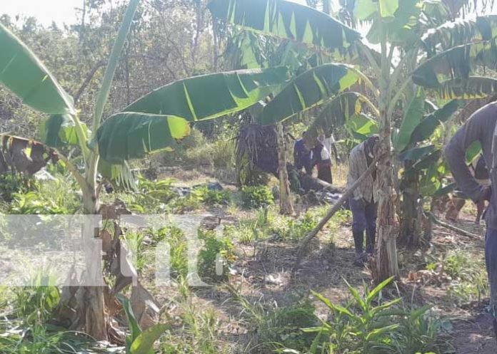 1 Encuentran muerto a vigilante de finca en Yulutingni, Costa Caribe Norte