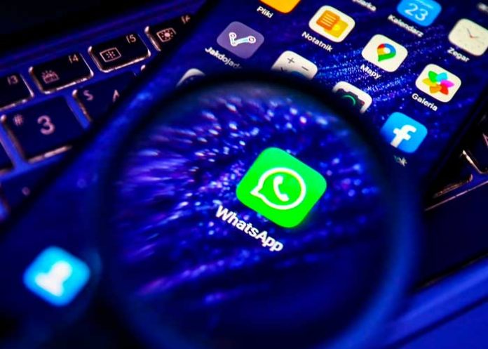 Ojo con esto: ¿Es seguro chatear con personas que usen WhatsApp Plus?
