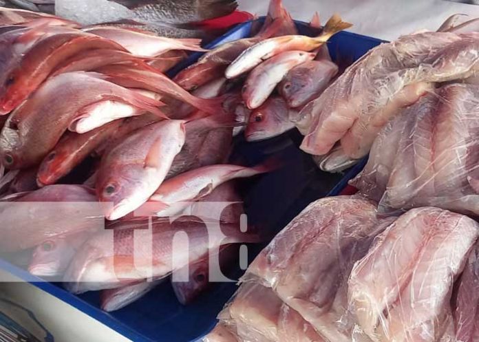 ¡Para los amantes del marisco! Feria del mar ofrece diversidad de platillos