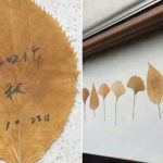 Una mujer escribe a su difunto esposo en hojas de otoño y conmueve a la Red Una mujer escribe a su difunto esposo en hojas de otoño y conmueve a la Red