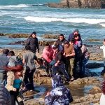 Accidente aéreo en Chile deja cuatro fallecidos