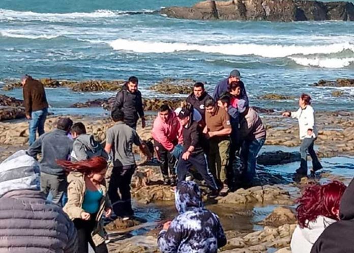 13 Accidente aéreo en Chile deja cuatro fallecidos