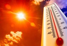 ¿Qué países sufrirán devastadoras olas de calor según estudio?