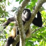 Armá una gira a San Juan de Oriente, Masaya y probá su chicha bruja Armá una gira San Juan de Oriente, Masaya y probá su chicha bruja