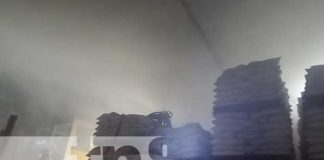 Foto: Fuerte incendio de una bodega productora de harina en Granada / TN8