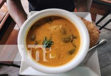 Deliciosa “Sopa de Queso” en El Vivero, en León Foto: Deliciosa “Sopa de Queso” en El Vivero, en León / TN8