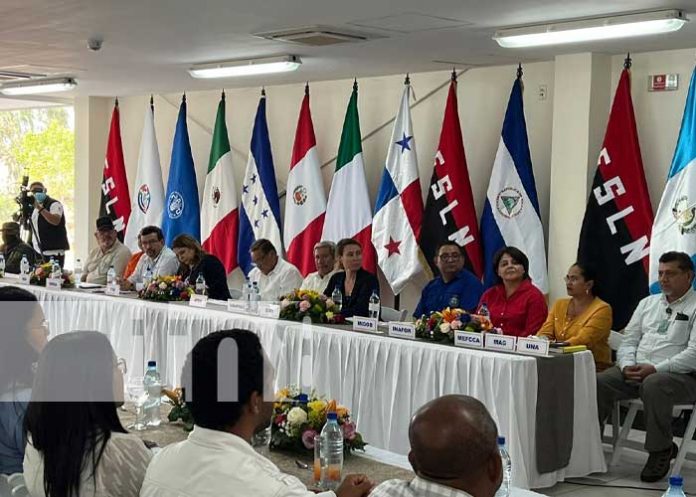 Nicaragua líder en la protección de la siembra del plátano y banano