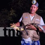 Su paseo inolvidable por Río San Juan lo llevará a ver y a capturar caimanes