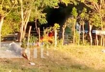 ¡Carro en llamas! Bomberos controlan incendio en un vehículo en Comarca Chiquilistagua