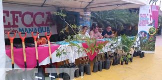 Foto: Realizan «Expo-Tecno Productiva» en el Puerto Salvador Allende, Managua / TN8