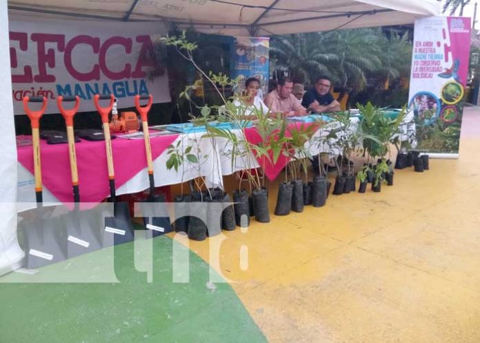 Foto: Realizan «Expo-Tecno Productiva» en el Puerto Salvador Allende, Managua / TN8