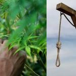 ¿Justo? Hombre morirá en la horca por traficar un kilo de marihuana en Singapur Hombre morirá en la horca por traficar marihuana en Singapur