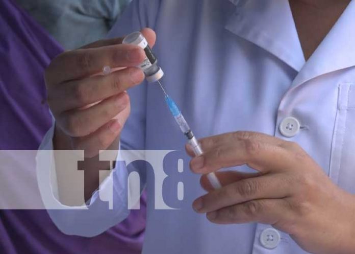 Foto: Concluye de manera satisfactoria jornada de vacunación contra la influenza en Nicaragua / TN8