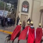 ¡Guau! Perrito se viraliza por defender a Jesucristo durante vía crucis VIDEO: ¡Guau! El perrito de Coahuila, que se ha ganado la admiración y se viralizó