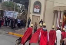 ¡Guau! Perrito se viraliza por defender a Jesucristo durante vía crucis VIDEO: ¡Guau! El perrito de Coahuila, que se ha ganado la admiración y se viralizó
