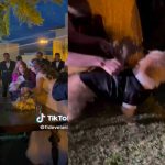 Perrito participó como testigo en la boda civil de sus dueños