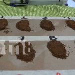 Foto: Concluye tercera etapa de muestras de café para el certamen nacional / TN8