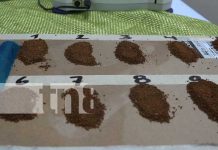 Foto: Concluye tercera etapa de muestras de café para el certamen nacional / TN8