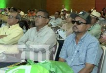 Nicaragua con excelente producción de arroz garantiza el consumo a las familias Foto: Nicaragua con excelente producción de arroz que garantiza el consumo a las familias / TN8