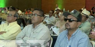 Foto: Nicaragua con excelente producción de arroz que garantiza el consumo a las familias / TN8
