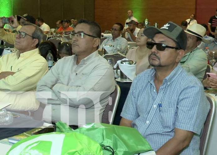 3 Foto: Nicaragua con excelente producción de arroz que garantiza el consumo a las familias / TN8