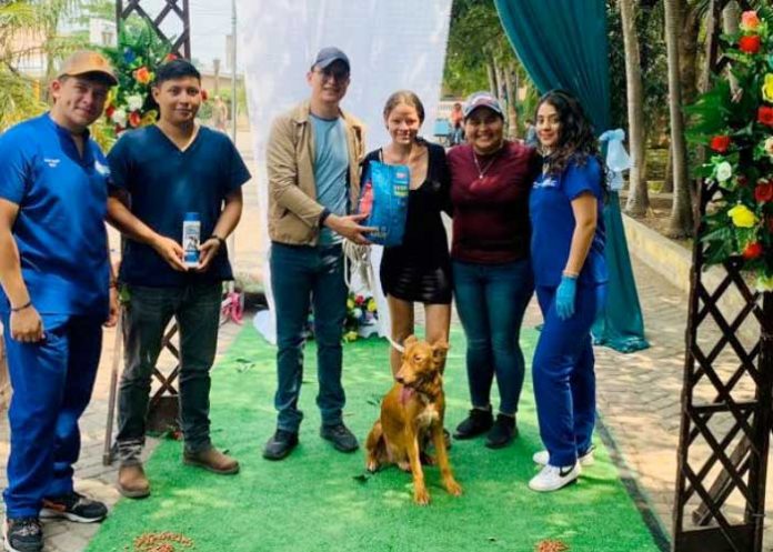 5 Alegres Festivales Departamentales “Mi Mascota Mi Amigo” en Estelí y Masaya