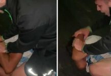 Por tirárselas de «ladrón violento» le reparten palo y obligan a pedir perdón Joven golpea a ladrón y le exige que pida 'perdón'