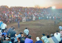 San Marcos Evangelista se viste de gala en sus fiestas patronales con Corridas de Toros San Marcos Evangelista se viste de gala en sus fiestas patronales con corridas de toros