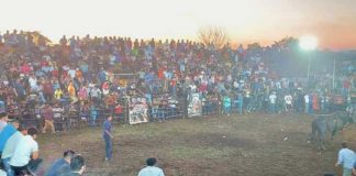 San Marcos Evangelista se viste de gala en sus fiestas patronales con corridas de toros