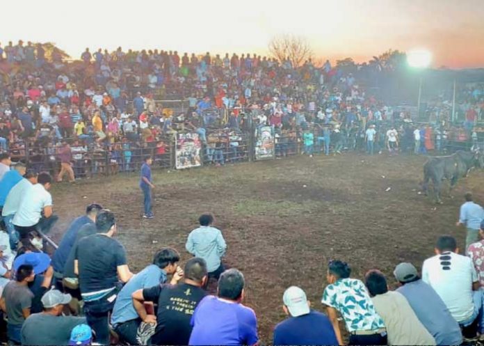MAU3 San Marcos Evangelista se viste de gala en sus fiestas patronales con corridas de toros