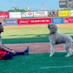 ismael, munguía, milb,