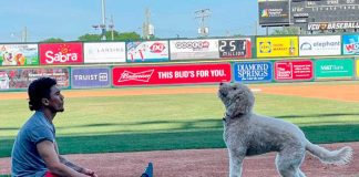 ismael, munguía, milb,