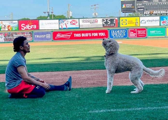 ismael, munguía, milb,