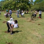 Excelentes resultados en campaña de Reforestación, Restauración y Protección de la Naturaleza