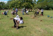 Excelentes resultados en campaña de Reforestación, Restauración y Protección de la Naturaleza Excelentes resultados en campaña de Reforestación, Restauración y Protección de la Naturaleza