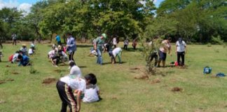 Excelentes resultados en campaña de Reforestación, Restauración y Protección de la Naturaleza