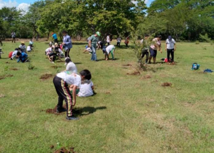 Excelentes resultados en campaña de Reforestación, Restauración y Protección de la Naturaleza