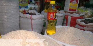 Foto: Productos de la canasta básica en Nicaragua / TN8