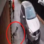 ¡Ángel de la guardia! Perro salvó a niña de un secuestro en Chile ¡Ángel de la guardia! Perro salvó a niña de un secuestro en Chile