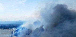 Incendio forestal devora al menos 70 viviendas en Corea del Sur