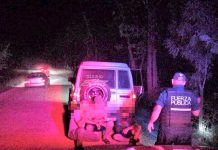 Capturan a dos "nicas" junto a un 'tico' acusados de robo en Costa Rica