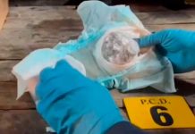 Capturan a dos «nicas» con un pañal cargado de droga en Costa Rica Capturan a dos "nicas" con un pañal cargado de droga en Costa Rica